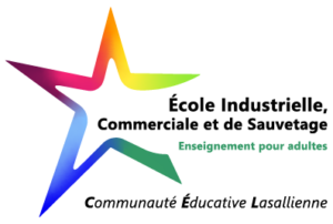 logo VF EICS